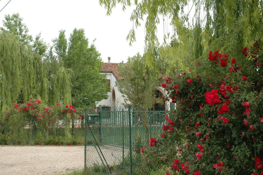 Bed and Breakfast Rose Rosse Cadi David Zewnętrze zdjęcie